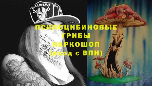 амф Вязники