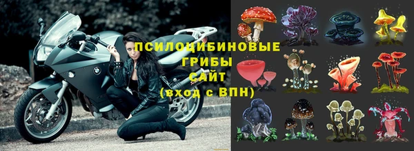 хмурый Абинск
