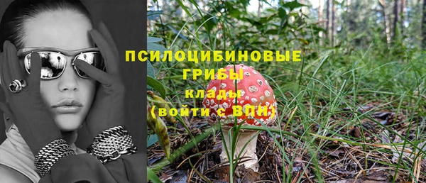 марихуана Абаза
